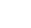 Rook